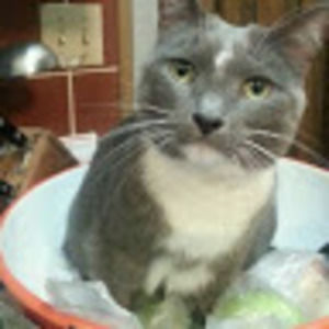 Meet your Posher, Barb